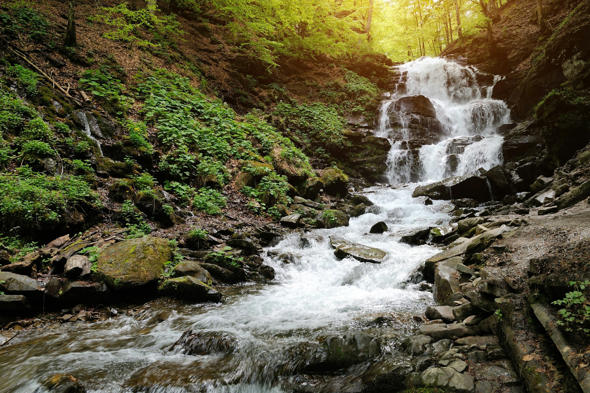 Waterfall in forest